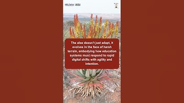 01949 Sub-theme Spotlight: The Digital Revolution: Technology, AI, and Data-Driven Learning