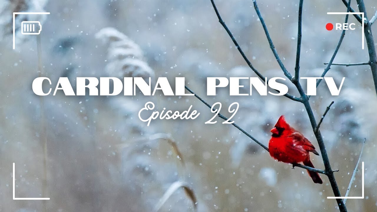 Cardinal Pens TV Episode 22 - Pen Cases Galore!