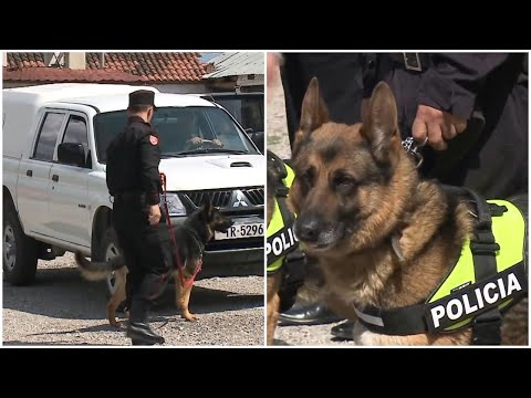 Video: Konkursi i ngrënies së qenve të nxehtë të Coney Island më 4 korrik