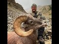 Colorado Big Horn Sheep Hunt