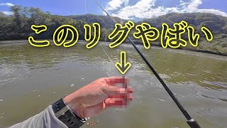 バスが釣れない　① b455e62f5f1717ffe750e0390f8c49