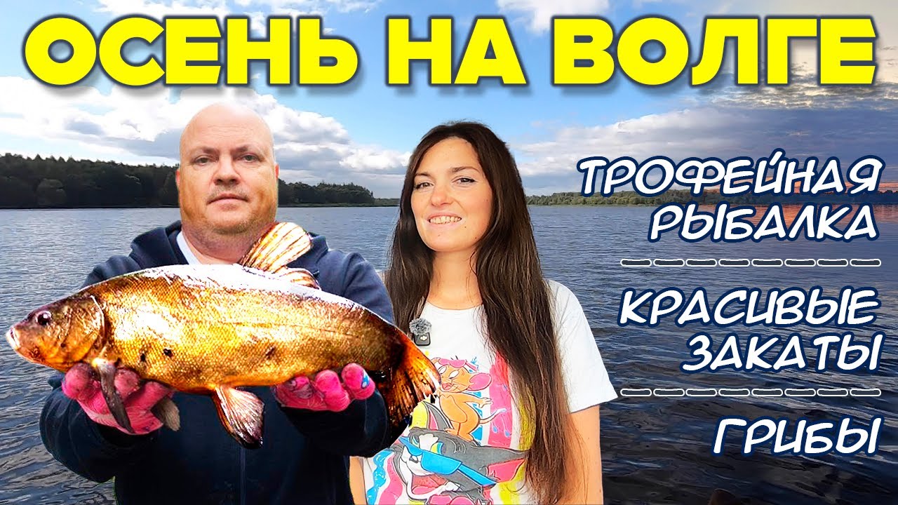 Трофейный ЛИНЬ, ковер из ЛИСИЧЕК и прекрасные закаты на берегу Волги. Первый осенний поход...