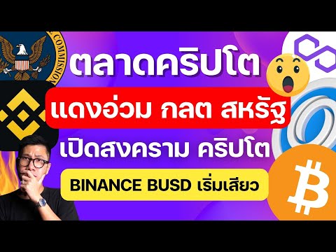 (ข่าวคริปโตล่าสุด) ชาวคริปโตผวา หลัง กลต สหรัฐ เดินหน้าใส่ BUSD Binance / ข่าวดี ROSE BABYDOGE