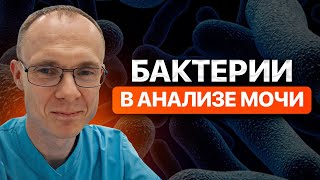 Бактерии в анализе мочи. Врач уролог-андролог. Москва