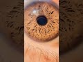 اجمل عين في العالم طبيعيه سبحان الله स न दर आ ख 漂亮的眼睛 Mata Yang Cantik Beautiful Eyes 