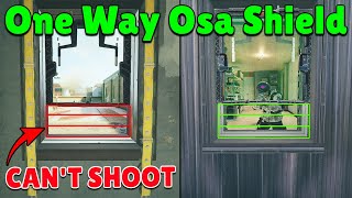 OSA Will Have a 100% Ban Rate After Those Two New Tricks! - Rainbow Six Siege Brutal Swarm