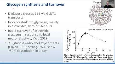 AANP Teaching Rounds - November 24, 2025 - Metabolic Storage Disorders of the Nervous System