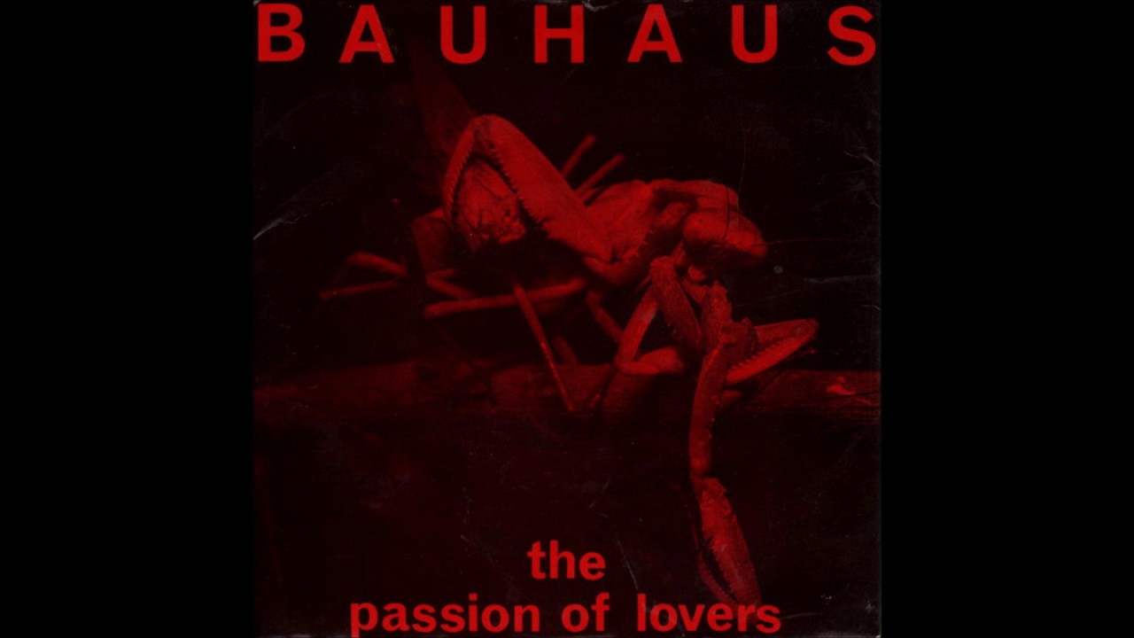 洋楽 BAUHAVS kotohayokozawa】【CONVERSE】ROADCLASSIC SS OX (MEN'S