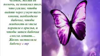 Урок Бабочки притча, или Как добиться Успеха Урок Бабочки притча, или Как добиться Успеха