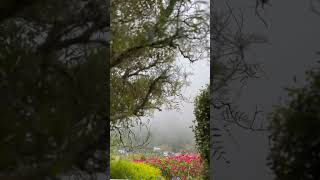 Relax your mind..nature relaxingsounds asmr moments fyp travel view shorts