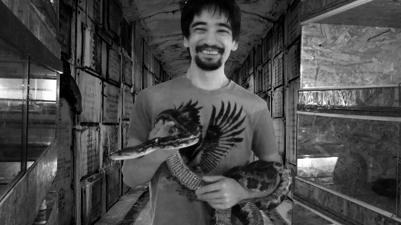 Сколько живут змеи?