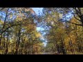 Beautiful Fall Colors #shorts #shortvideo