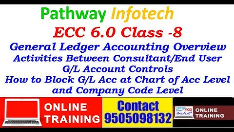 SAP FICO Class-08||General Ledger Accounting Overview||GL Block at Chart of Accounts||GL Block at Cc