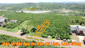 DiLinhBDS - Đất Di Linh, lô đất đẹp mặt tiền Nguyễn Trung Trực, 6x37x165 ODT, View rộng thoáng