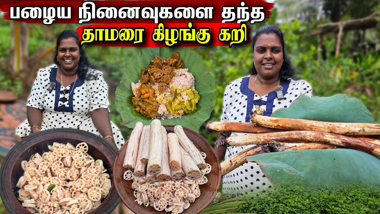 தாமரை குளத்தில் கிழங்கு பிடுங்கி வெள்ளி சமையல் | Village life ♥️ | vanni vlog 