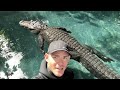 Gator boops my face! Swimming with Casper the alligator!