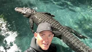 Gator Boops My Face! Swimming With Casper The Alligator!