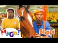 Blippi jungle indoor playground  mygo sign language for kids  blippi  asl