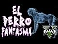 GTA V - EL MISTERIO DEL PERRO FANTASMA - misterios en GTA 5 - NexxuzHD