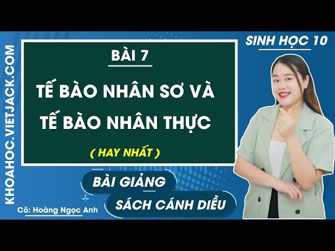 Video: Tế bào vi khuẩn là tế bào nhân thực hay tế bào nhân sơ?