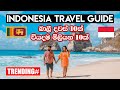 How to Travel Bali | Indonesia Travel Guide | Sinhala Travel Guide
