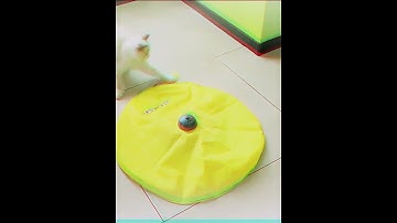 Automatic Funny Cat Toys Electric Motion Undercover Fabric Moving Mouse
