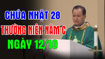 (NGÀY 12/10) CHÚA NHẬT 28 THƯỜNG NIÊN NĂM C - Bài Giảng Sâu Sắc Của Lm Phạm Tĩnh | Ánh Sáng Lời Chúa