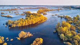 РУССКАЯ ЗЕМЛЯ! ТРИО " КОВЧЕГ" (г.ВИТЕБСК - БЕЛОРУССИЯ)            сл.и муз - С.Копылова