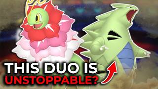 Mega Meganium Sand just Won a Tournament | Pokemon Champions 