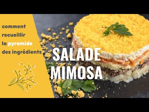 Vidéo: Comment Faire Une Salade De Mimosa : 2 Recettes éprouvées