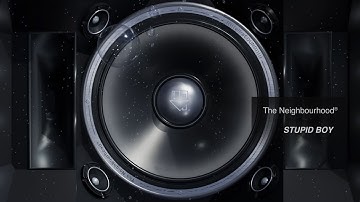The Neighbourhood - Stupid Boy (Official Audio)