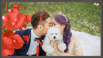 Share Transition Proshow Producer - Free Downloads Part 59