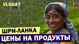 Цены на продукты на Шри-Ланке 2023. Обзор ассортимента в Food City | Еда на Шри Ланке. Чай Шри Ланка