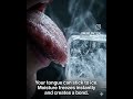 Why Your Tongue Sticks to Ice 😳