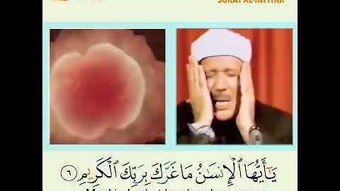حالات واتس اب القران/عبدالباسط عبدلصمد/سورة الانفطار{يَا أَيُّهَا الْإِنسَانُ مَا غَرَّكَ بِرَبِّكَ}