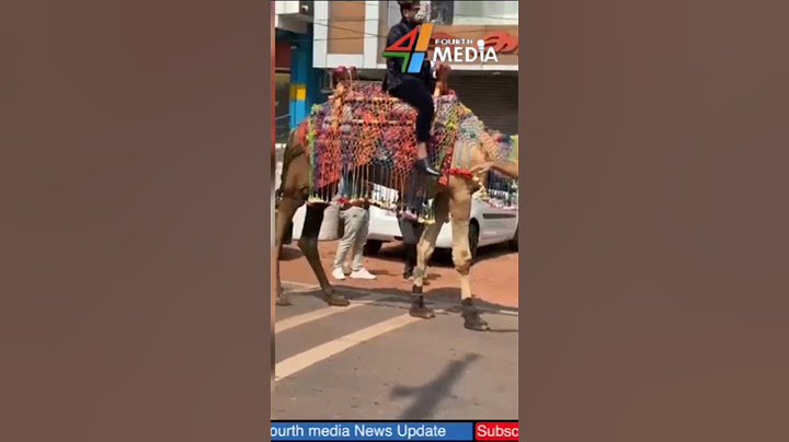 കണ്ണൂരിൽ ആഘോഷം പിടിവിട്ട ഒരു കല്യാണം! #kannur  #kannurnews