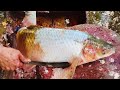 Amazing Fish Cutting Skills - Big Carp Fish Cleaning &amp; Cutting By Expert Fish Cutter