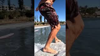 Day for it #surf #surfing #goprosurf #longboardsurfing #gopro