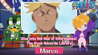 Dive into the Sea of Information!  The Punk Records Library!〜Marco〜 by ONE PIECE公式YouTubeチャンネル 8,154 views 12 days ago 1 minute, 31 seconds