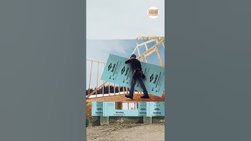 The Truth About Styrofoam You Never Learned in School #shorts