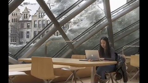 university of chicago library divergent