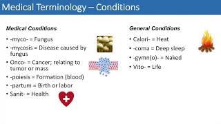 Medical Terminology - The Basics - Lesson 4