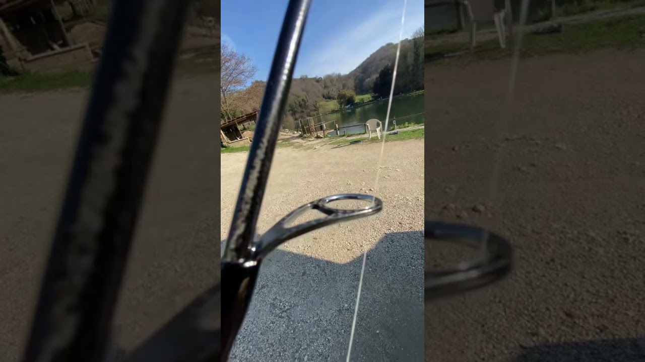 Daiwa presso Ags Limidet