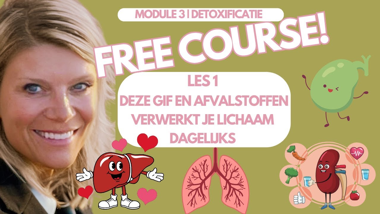 Wat is Detoxificatie en Welke Organen Zijn Erbij Betrokken?
