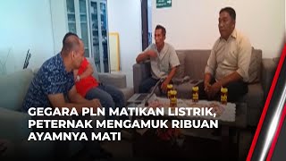 Peternak Ngamuk di Kantor PLN Gegara Ribuan Ayamnya Mati Imbas PLN Matikan Listrik | OneNews Update