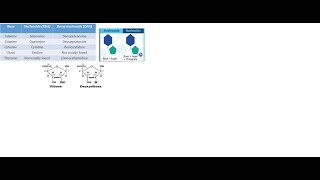 Difference between Nuceloside and Deoxynucleoside