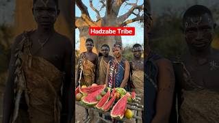 Hadzabe Tribe😮#africa #shortvideo #wildlife #comedy #love #travel #youtubeshorts #vlog #hadzabetribe