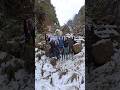 The feeling was awesome after successful summit of Mt.Kro in Pipsorang, Kra Daadi, Arunachal Pradesh