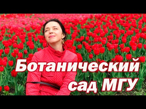 Video: Botanická záhrada Moskovskej štátnej univerzity 