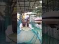 This is my batting practice with the bowling machine #song #hangtight #cricket #trending #viral